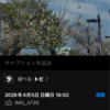 都市の猛禽類の識別対決 Siri vs Googleレンズ