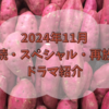 2024年11月スタートの連続ドラマ、スペシャルドラマ、再放送(一部)紹介