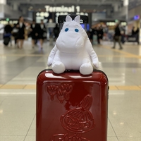 韓国のムーミンショップへ行ってきた話 Suddenly I 韓国のムーミンショップへ行ってきた話 Suddenly I