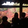 紅葉、研修会、懇親会と密度こい京都の１日。