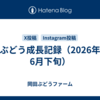 ぶどう成長記録（2026年6月下旬）