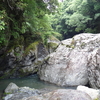 寝不足とヤマビル