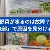 冷蔵庫で野菜が凍るのは故障？「一部だけ・全部」で原因を見分ける方法