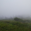霧の八幡平