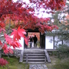 一休寺で目に保養