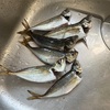 あえての日曜日の釣りで、釣り抜く