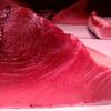 魚のみぞ・・・知る。。