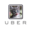 オフィスでカリカリしたらUberの猫のデリバリーサービスが最高