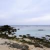 22年GW奄美大島06_佐仁のユタ神様