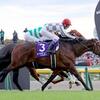 【JRA賞2024年】年度代表馬はドウデュース！！