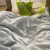 お布団の中に入って来てくれるあんころもち♪