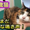 撫でて、撫でて、分かる～！