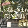 【渋谷最古の神社】素盞鳴尊と稲田姫命が繋ぐ「いいご縁」渋谷氷川神社（東京都渋谷区）2025/3/22