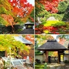 京都ぶらり　2022年　京都紅葉スポット