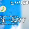 ヒバリの鳴き声【野鳥図鑑・鳴き声図鑑】Alauda arvensis　Lark