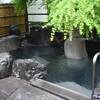 老神温泉【東秀館】日帰りブログ | 源泉かけ流しの３つの岩風呂