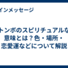 トンボのスピリチュアルな意味とは？色・場所・恋愛運などについて解説
