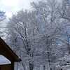 昨夜からの湿り雪で・・・