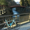 年の瀬、いろは登り納め。