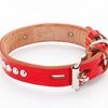 【愛犬レビュー】ペティオ手縫平首輪：赤色27mmで叶える！中型犬とのスマートな散歩道