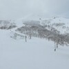(ski) 2020.2.7（金）グランヒラフ