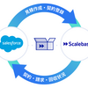 Alp開発日誌 Day9 「入社して一年経って、Salesforce連携アプリをリリースした」