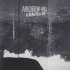 Andrew Hill - A Beautiful Day