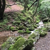 【御岳山・大岳山】梅雨のロックガーデンも、登山靴なら安心