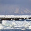 流氷を確認したかった