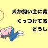 犬が背中をピタッとくっつけてくるのはどうして？飼い主への信頼の証