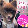 【みかんの樹】アイドル生誕祭🎂👏🏻