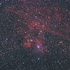 Ｓｈ２－１１５