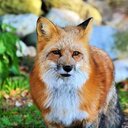 ワキガの悩みを改善するブログ