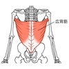 身体の使い方シリーズその149『広背筋を鍛える』武術ではヒットマッスル・クライミングで羽などと言われますが広背筋に効かせるやり方等を考察致します‼︎広背筋が縮み過ぎると背中も丸くなりますからストレッチもされて下さいね！