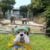 #上野動物園#アルン#しろくま