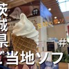 茨城県ご当地ソフト#5！道の駅かさま「笠間の栗ソフト」♡