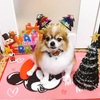 クリスマスまであと少し。