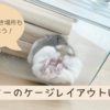 ハムスターケージのレイアウトは？飼育グッズの配置例とケージの置き場所も解説