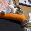 メモ　竹輪