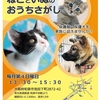 【大阪府和泉市 保護猫里親会(譲渡会)】第25回ねこといぬのおうちさがし@和泉市