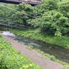 6月11日(水)秩父フライフィールドの河川情報