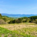 馬鹿の生きる道