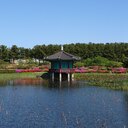 ゼロからの韓国生活 in Pohang