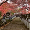 江戸時代から続く大山詣り。伊勢原・大山（大山阿夫利神社、大山寺）の魅力とは。（OHYAMA-AFURI JINJA, OYAMADERA)