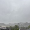アイドルと天才と推し活と