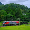 初秋の東北本線を往く、EH500-54牽引のシキ800を撮る！(馬牛沼撮影編)