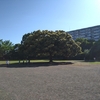 春のピクニック