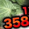 野菜の高騰続く キャベツは平年の1.8倍 なぜ？いつまで続く？