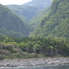  初夏の道東たび4日目〜知床半島ウトロクルーズその4