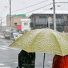 【津田沼】雪の街を撮りたい！Tamron SP 24-70mm F/2.8 Di VC USD G2　February 2019